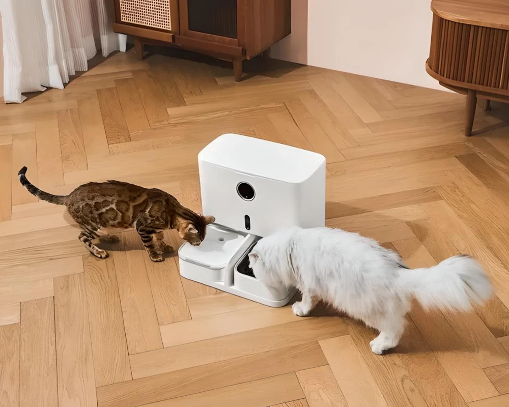 robot automatic pet feeder